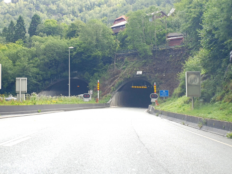 Tunnel Damsgård