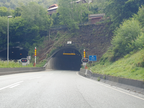 Tunnel Damsgård