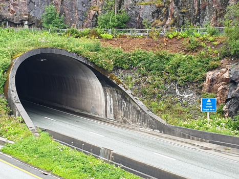 Tunnel de Lianakk