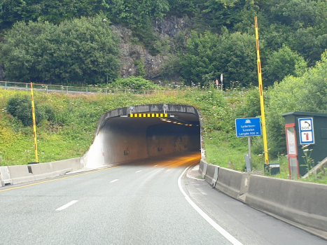 Tunnel de Lyderhorn