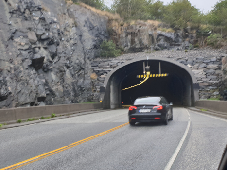 Tunnel de Ellingsøy