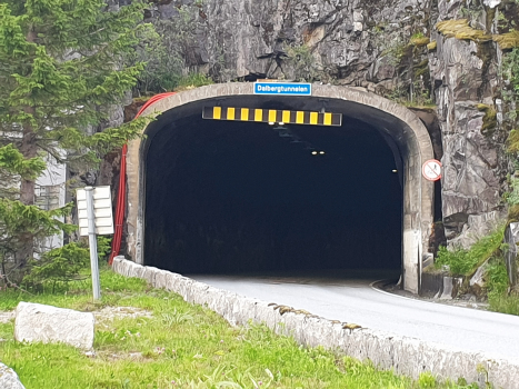 Dalberg Tunnel