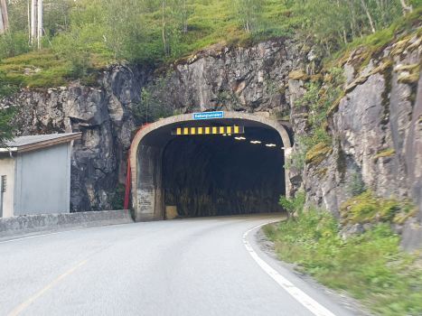 Dalberg-Tunnel