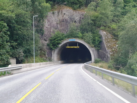 Tunnel de Eidfjord