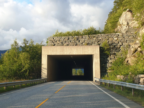 Furlo-Tunnel