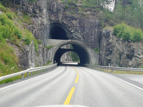 Tunnel de Hallingporten