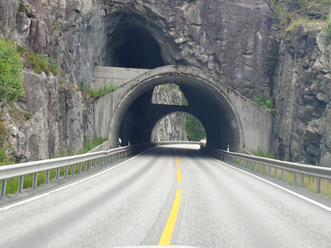 Tunnel de Hallingporten
