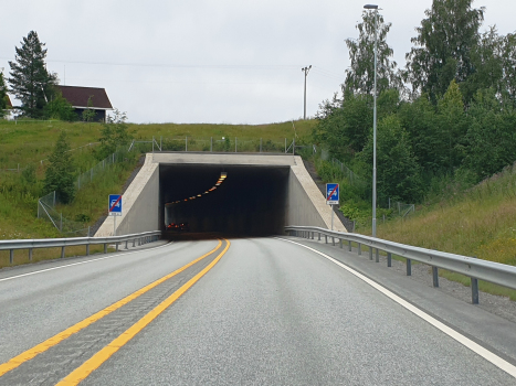 Tunnel de Nedre Lundesgaard
