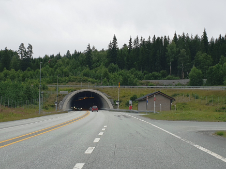Rallerud Tunnel