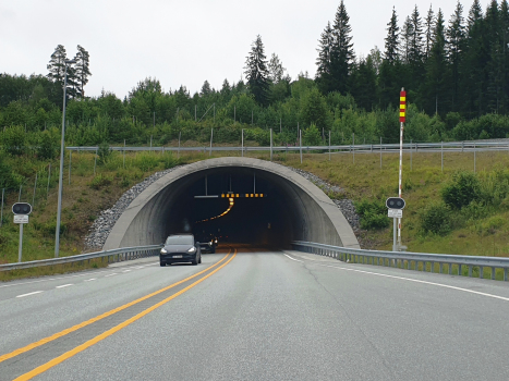 Tunnel de Rallerud