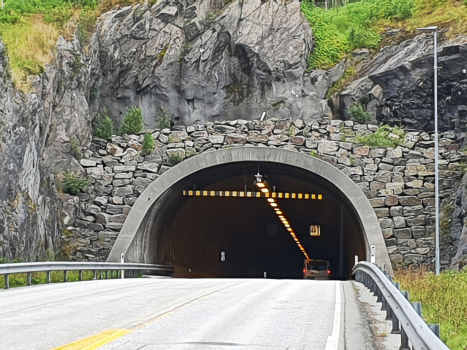 Tunnel de Freifjord