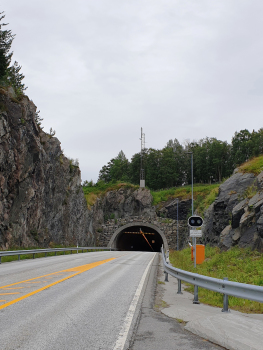 Tunnel de Freifjord
