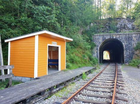 Bakkekleivi Tunnel and Bakkekleivi Station