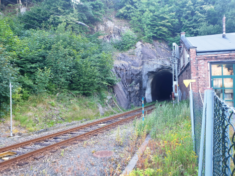 Barbu Tunnel southern portal