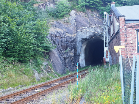 Tunnel Barbu