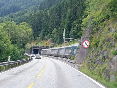 Bogelia hvelv III Tunnel