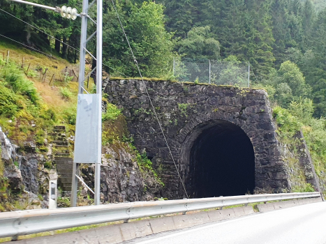 Bogelia hvelv IV Tunnel