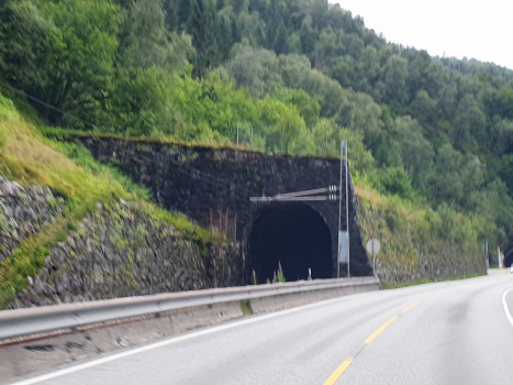 Bogelia hvelv V Tunnel