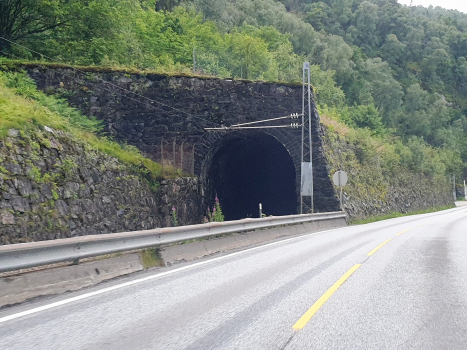 Tunnel Bogelia hvelv V
