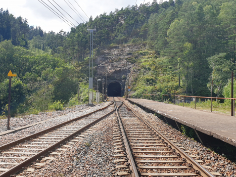Gyland Station and Fedog Tunnel eastern portal