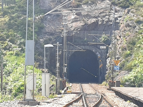 Fedog Tunnel eastern portal