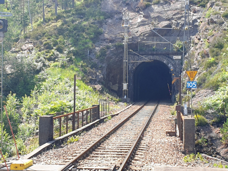 Gyland Station and Fedog Tunnel eastern portal