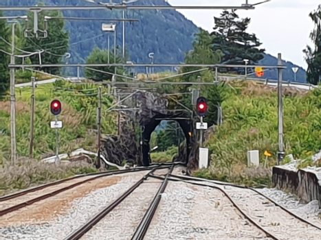 Flå-Tunnel