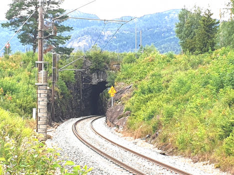 Tunnel de Flå