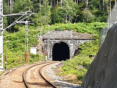 Tunnel Gyland