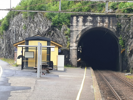 Trengereid Station and Hananipa Tunnel western portal