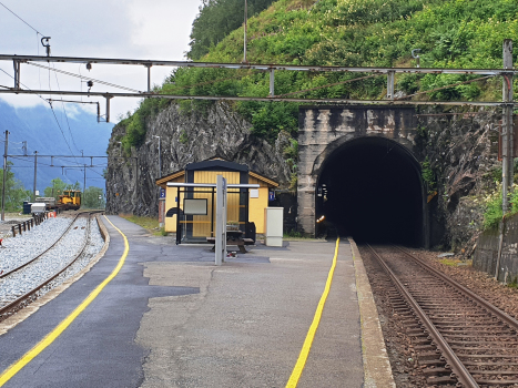 Trengereid Station and Hananipa Tunnel western portal