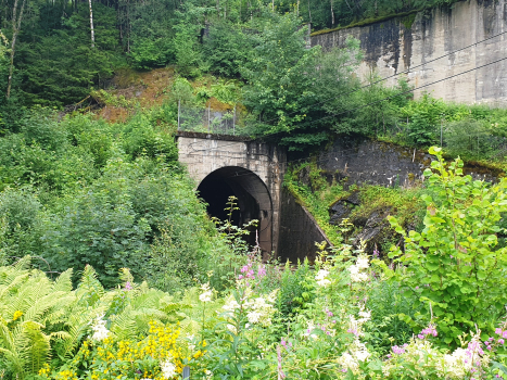 Herland Tunnel