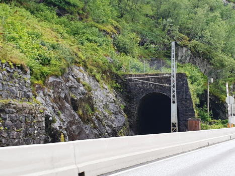 Kjenes Railway Tunnel