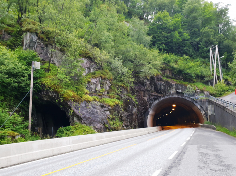 Kjenes railway and road Tunnel