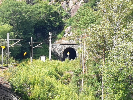 Lyngdalselva Bridge and Kvineshei Tunnel eastern portal