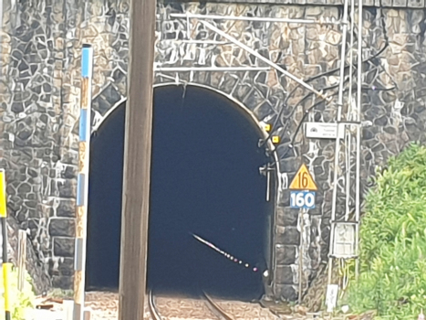 Lyngdalselva Bridge and Kvineshei Tunnel eastern portal