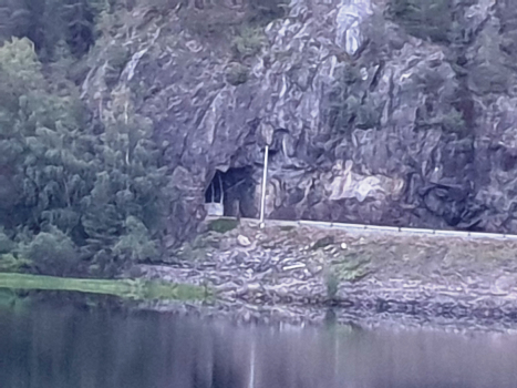 Tunnel de Løvik