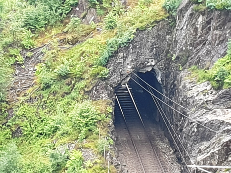 Tunnel ferroviaire de Risnes I