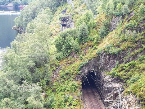 Risnes I Railway Tunnel and, in the background, Slattabekk Tunnel