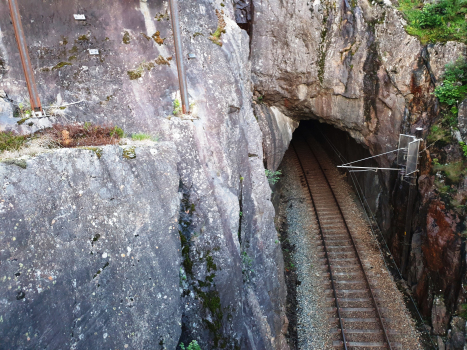 Tunnel de Sevre