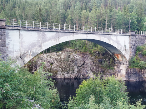 Pont ferroviaire de Svenkerud