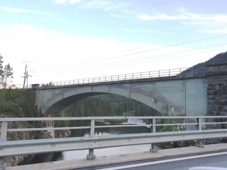 Pont ferroviaire de Svenkerud