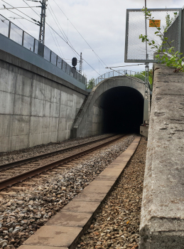 Tanum-Tunnel