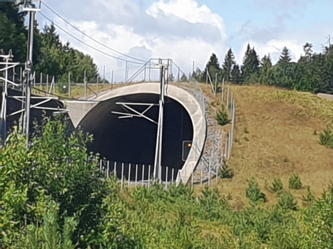 Tunnel de Tjønnemyr