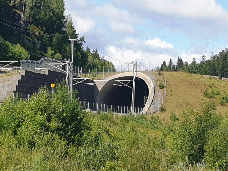 Tjønnemyr Tunnel