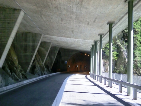 Depoorter Tunnel