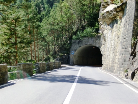 Tunnel supérieur de Leggistein