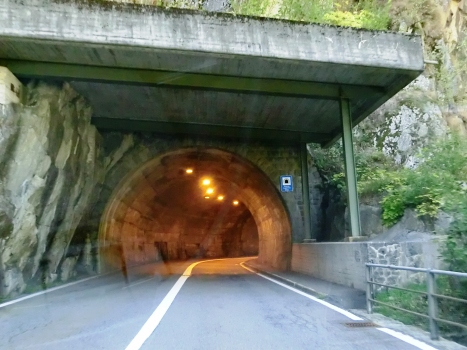Tunnel inférieur de Leggistein