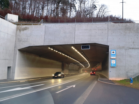 Tunnel de Galgenbuck