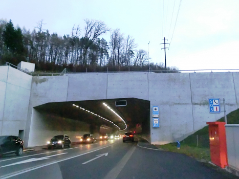 Galgenbuck Tunnel western portal